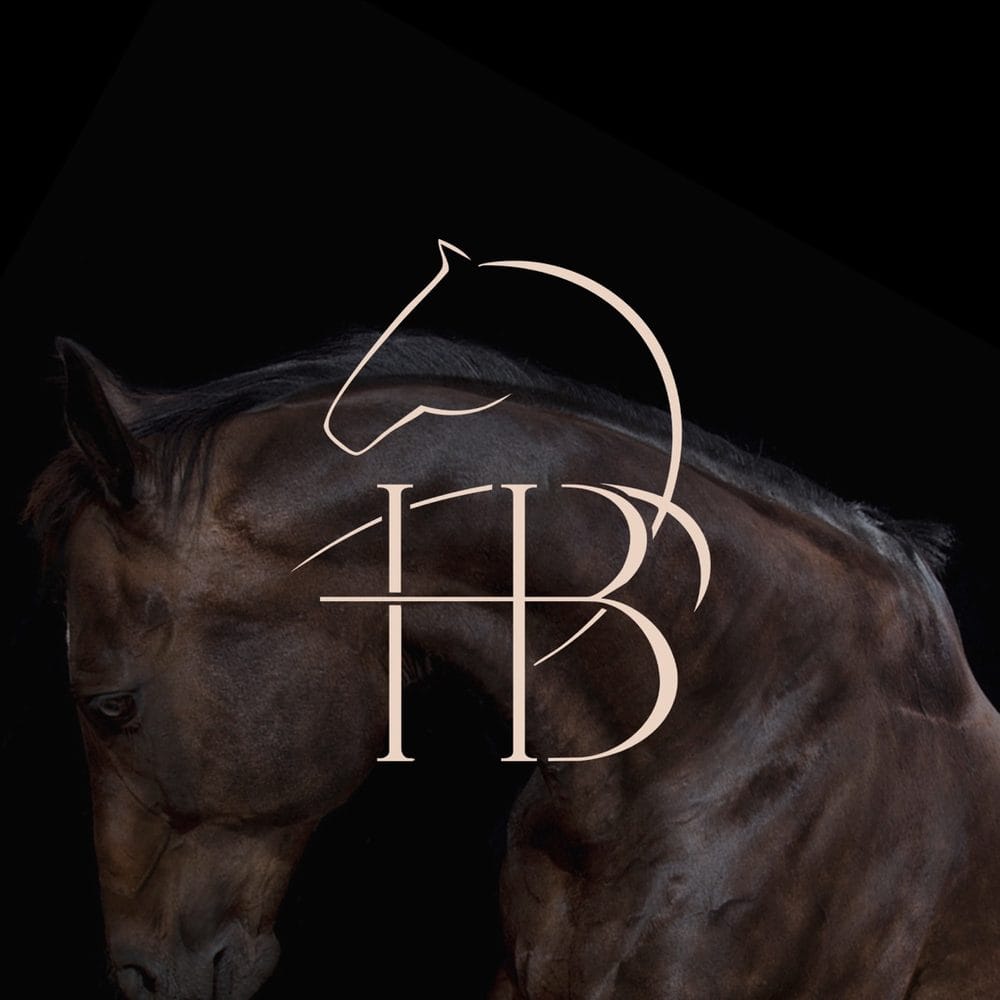 Бренд Horse Butler — консьерж-сервис по подбору лошадей