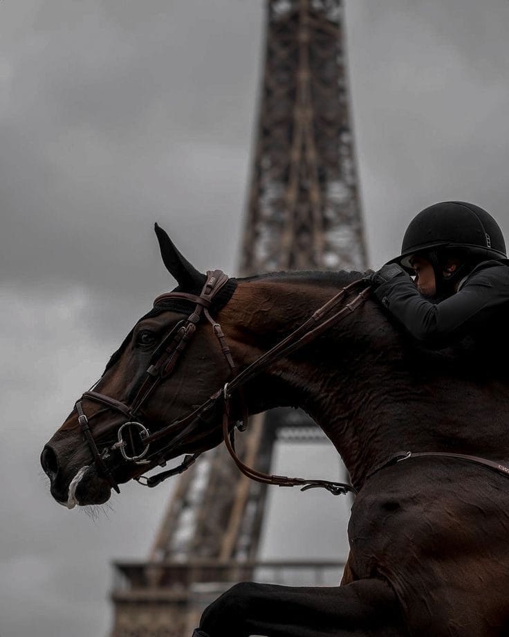 Конкурная лошадь Horse Butler на соревнованиях в Париже
